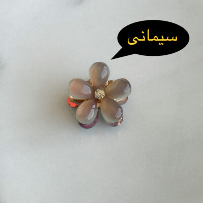 گالری سوشیانت-gallery soshiyantـمینی کلیپس _مینی کلیپس شکوفه
