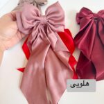 gallery soshiyant ـ گالری سوشیانت ـ گیره فرانسوی