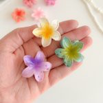 gallery soshiyant ـ گالری سوشیانت ـ مینی کلیپس_پلومریا