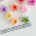 gallery soshiyant ـ گالری سوشیانت ـ مینی کلیپس_پلومریا