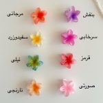 gallery soshiyant ـ گالری سوشیانت ـ مینی کلیپس_پلومریا