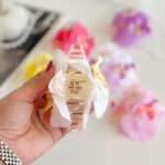 gallery soshiyant ـ گالری سوشیانت ـ کلیپس ارکیده