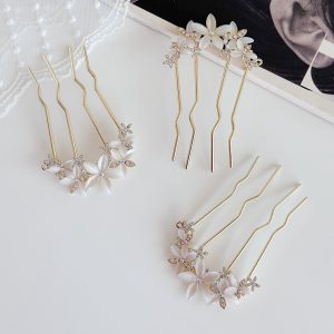 gallery soshiyant ـ گالری سوشیانت ـ شانه شینیون _شانه ژاپنی مجلسی