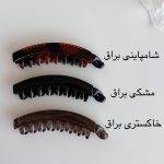 gallery soshiyant ـ گالری سوشیانت ـ کلیپس ابشاری