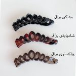 gallery soshiyant ـ گالری سوشیانت ـ کلیپس ابشاری