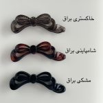gallery soshiyant ـ گالری سوشیانت ـ کلیپس آبشاری